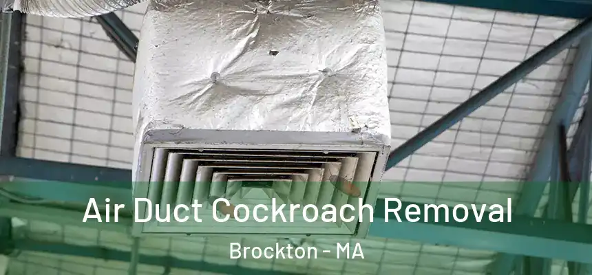 Air Duct Cockroach Removal Brockton - MA