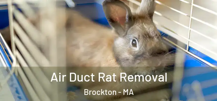 Air Duct Rat Removal Brockton - MA