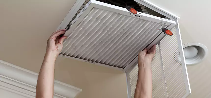 Our Insect Removal from Air Ducts Services in Brockton, MA