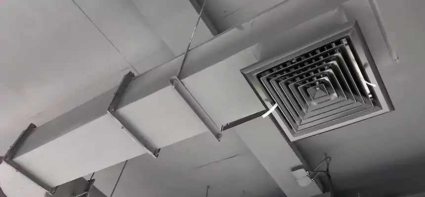 Our Pest Removal From Ducts Services in Brockton, MA