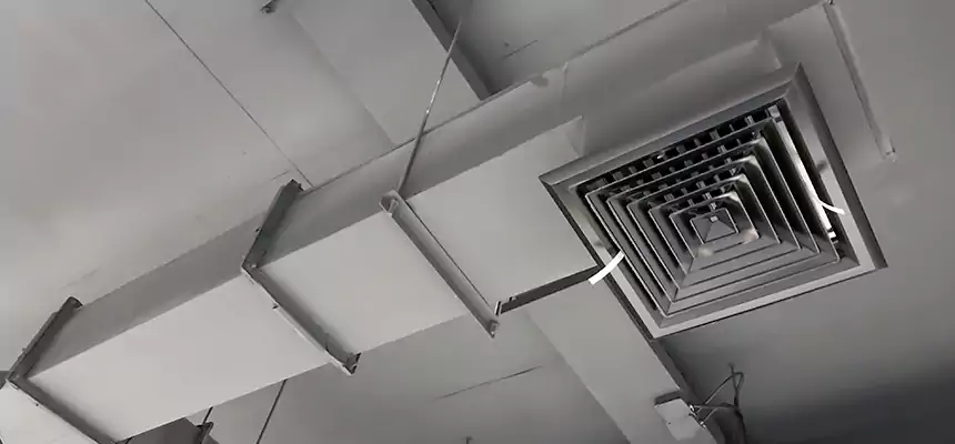 Our Rodent Droppings In Vents Services in Brockton, MA