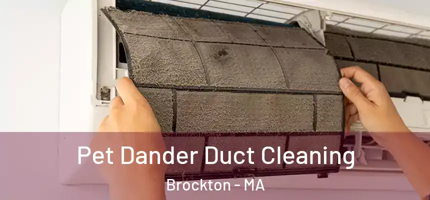Pet Dander Duct Cleaning Brockton - MA