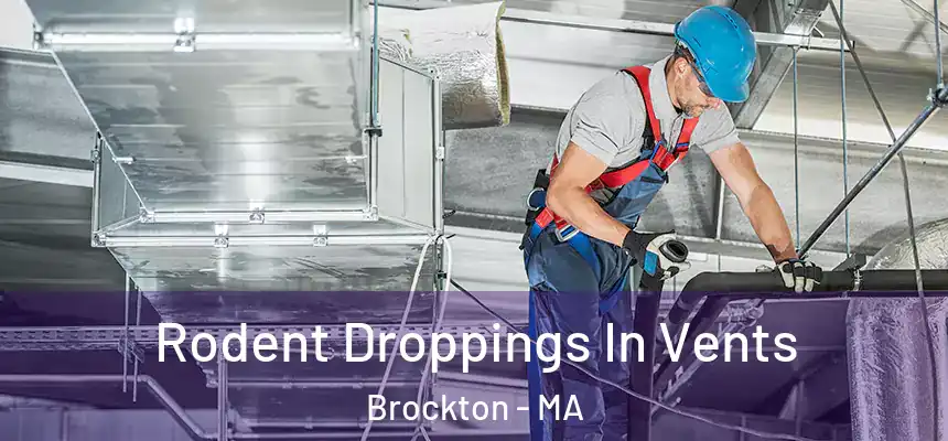  Rodent Droppings In Vents Brockton - MA
