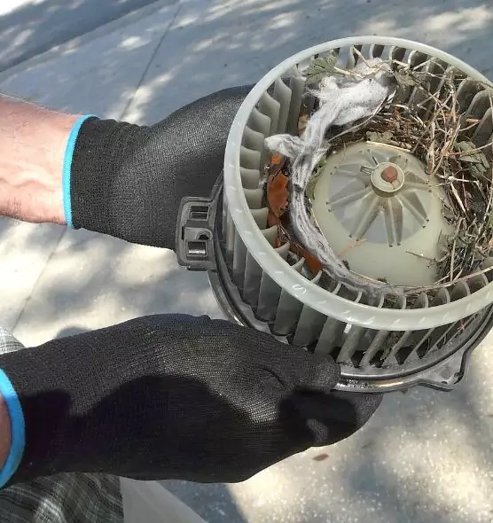 About Air Duct Mice Removal in Brockton, MA