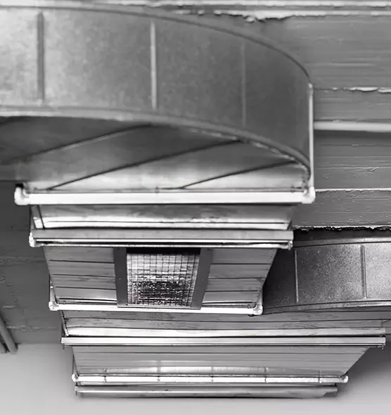 Professional Air Duct Pest Removal in Brockton, MA