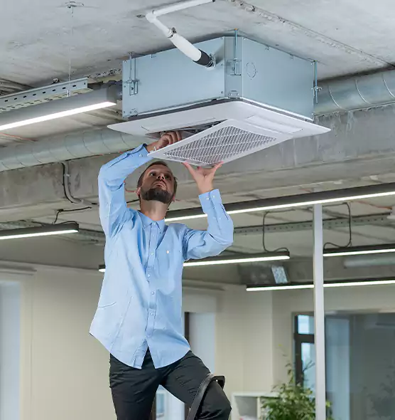 Advanced Rodent Droppings In Vents in Brockton, MA